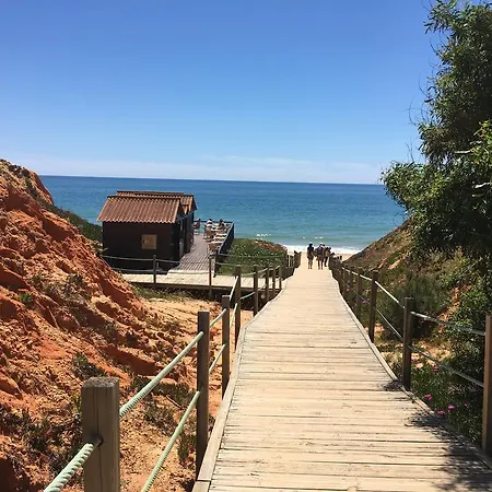 Falesia Beach Apartmán *